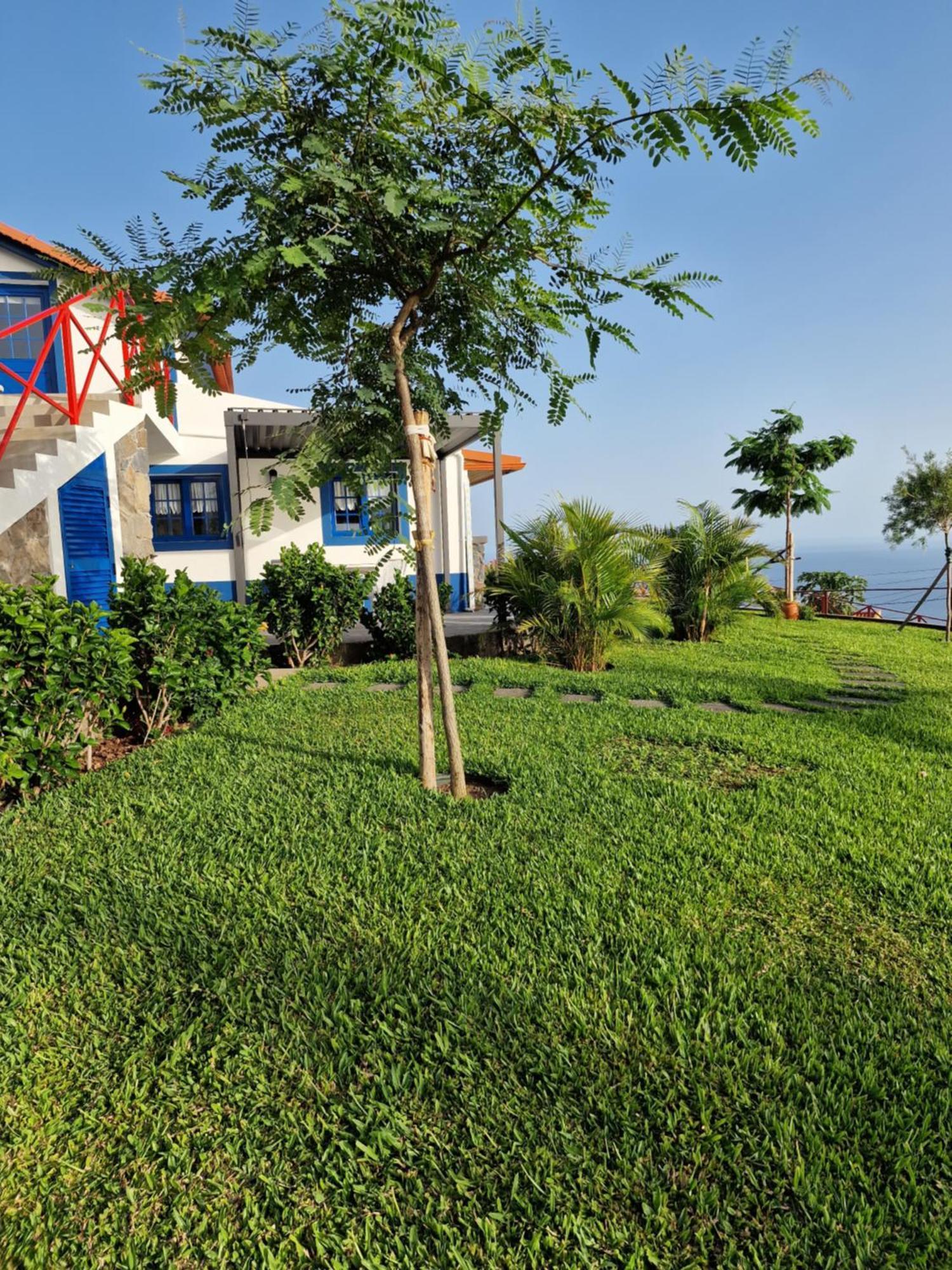 Casa Villa Dinastia Sotao Y Casa Villa Dinastia Miramar Ribeira Brava Exterior photo